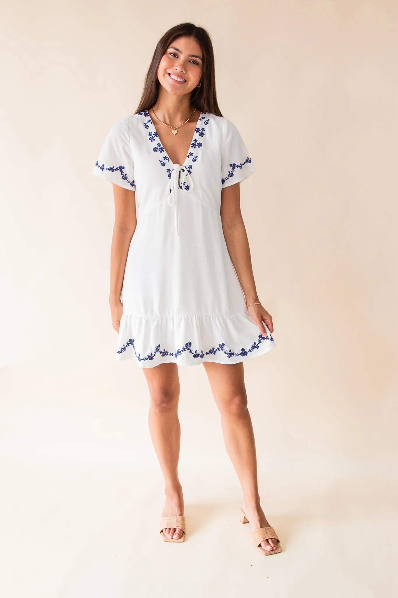 Timeless Embroidered Mini Dress