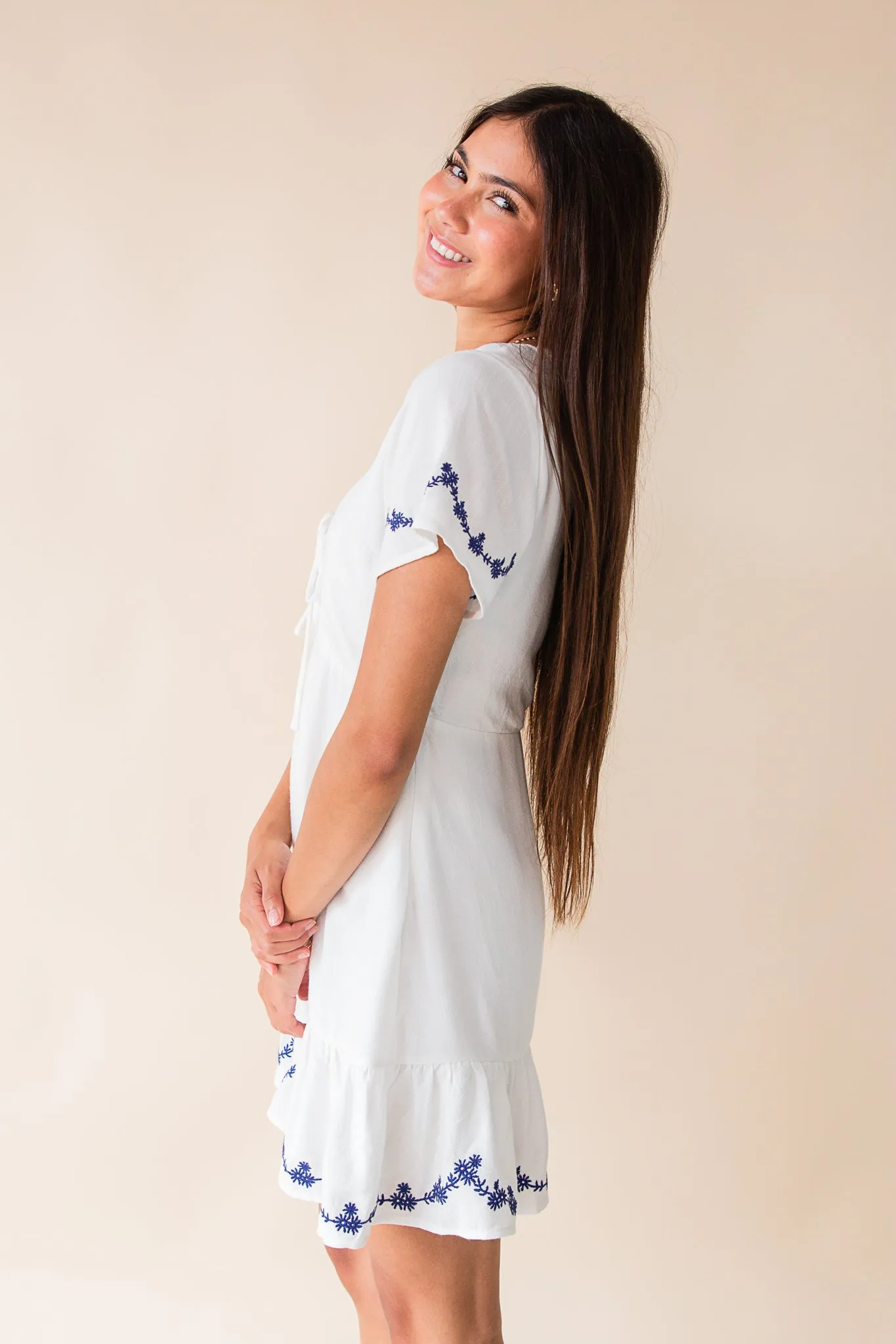 Timeless Embroidered Mini Dress